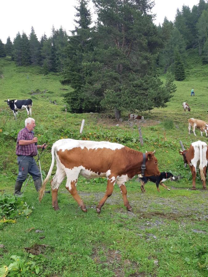 Ferienwohnung Schatzhof Jochberg Eksteriør bilde